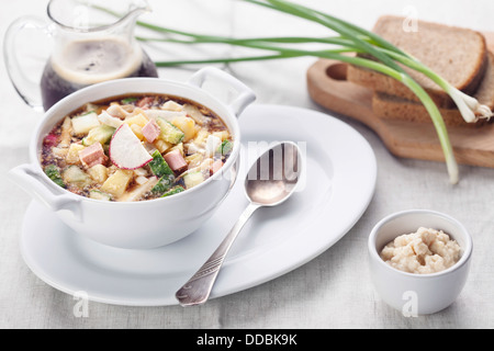 Kalte Suppe mit gehacktem Gemüse und Fleisch Stockfoto