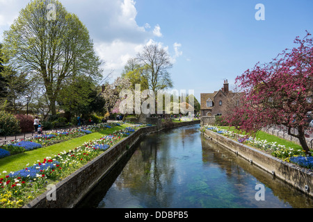 Westgate Gärten Fluss Stour Canterbury Kent Stockfoto