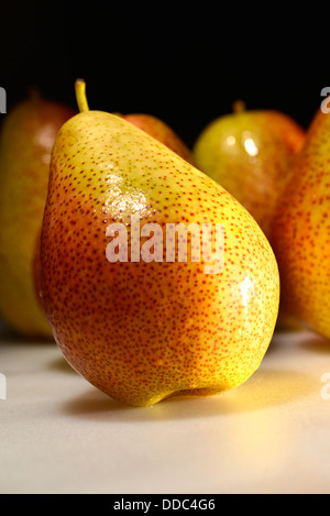 Forelle verschiedener Birnenfrucht. Stockfoto