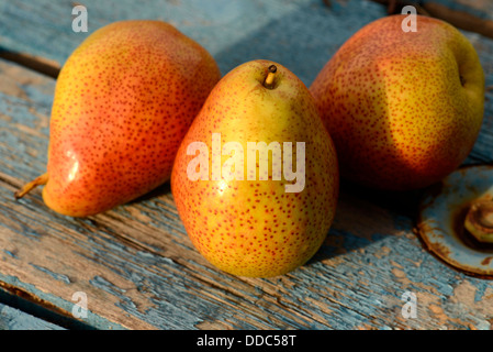 Forelle verschiedener Birnenfrucht. Stockfoto