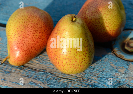 Forelle verschiedener Birnenfrucht. Stockfoto