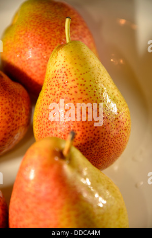 Forelle Vielfalt der Birne Obst. Stockfoto