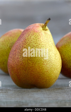 Forelle Vielfalt der Birne Obst. Stockfoto