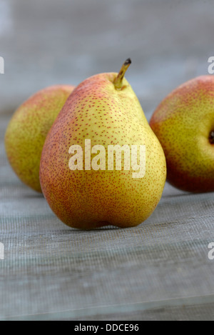 Forelle Vielfalt der Birne Obst. Stockfoto