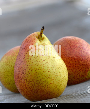 Forelle Vielfalt der Birne Obst. Stockfoto