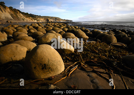 Runde eiförmigen Felsbrocken am Bowling-Kugel Strand Schoner Gulch Point Arena Kalifornien USA Pazifikküste Ozean Stockfoto