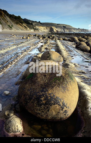 Runde eiförmigen Felsbrocken am Bowling-Kugel Strand Schoner Gulch Point Arena Kalifornien USA Pazifikküste Ozean Stockfoto