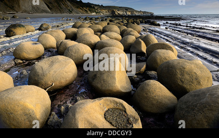 Runde eiförmigen Felsbrocken am Bowling-Kugel Strand Schoner Gulch Point Arena Kalifornien USA Pazifikküste Ozean Stockfoto