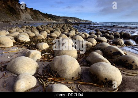 Runde eiförmigen Felsbrocken am Bowling-Kugel Strand Schoner Gulch Point Arena Kalifornien USA Pazifikküste Ozean Stockfoto