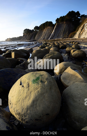 Runde eiförmigen Felsbrocken am Bowling-Kugel Strand Schoner Gulch Point Arena Kalifornien USA Pazifikküste Ozean Stockfoto