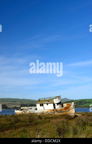 Point Reyes verlassene Schiffswrack entlang der Ufer der Tomales Bay Point Reyes National Seashore Kalifornien Stockfoto