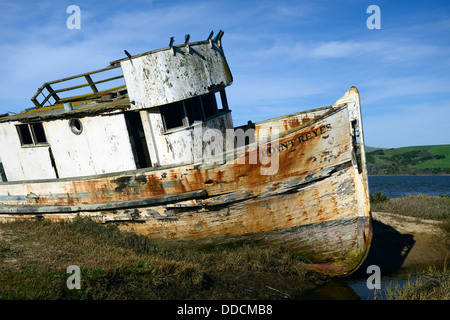 Point Reyes verlassene Schiffswrack entlang der Ufer der Tomales Bay Point Reyes National Seashore Kalifornien Stockfoto