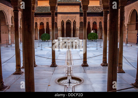 Hof der Löwen. Palast der Löwen. Nazaries Paläste. Alhambra, Granada. Andalusien, Spanien Stockfoto