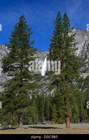 Yosemite fällt Blick durch Bäume Yosemite Valley Nationalpark Kalifornien Wasserfall betrachtet Stockfoto