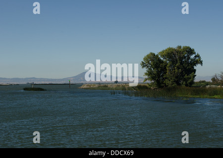 Brannan Island und der San Joaquin River Delta Stockfoto