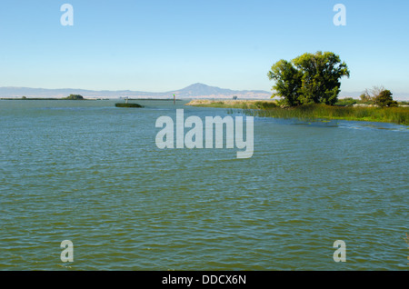 Der San Joaquin River, Brannan Island am Delta Stockfoto