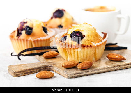 Drei hausgemachte Blueberry Muffin Cupcakes auf weißem Hintergrund Stockfoto