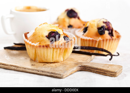 Drei hausgemachte Blueberry Muffin Cupcakes auf weißem Hintergrund Stockfoto