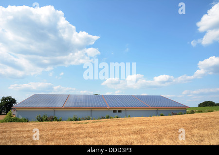 Scheune in einem Weizenfeld mit Sonnenkollektoren auf dem Dach Stockfoto