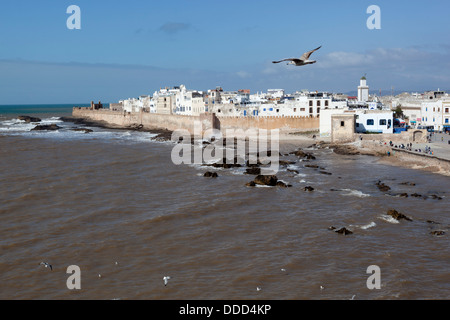 Blick auf die Stadtmauer und Medina aus dem alten Fort, Essaouira, Marokko Stockfoto