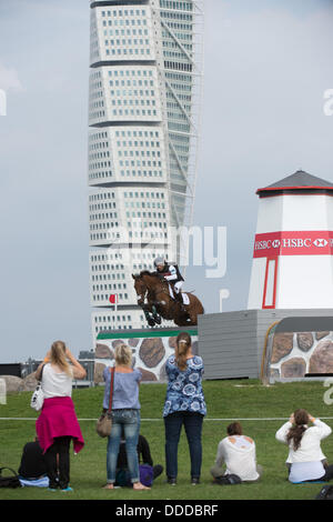 Malmö, Schweden. 31. August 2013. Spanische Eventer Albert Hermoso reitet auf seinem Pferd Hito während der Langlauf-Wettbewerb der Vielseitigkeits-Europameisterschaft in Malmö, Schweden, 31. August 2013. Foto: JOCHEN LUEBKE/Dpa/Alamy Live News Stockfoto