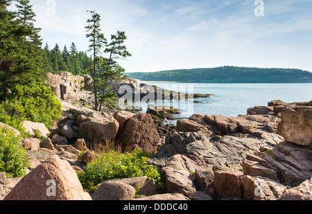 Dieses Bild zeigt eine schöne Kombination von Laub, Steinen, Wasser und Himmel am Ufer des Acadia National Park. Stockfoto