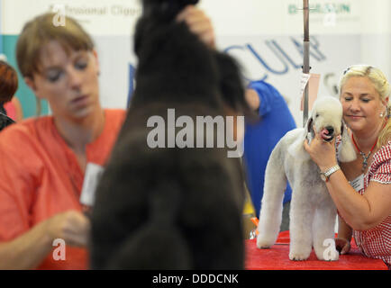 Stadtroda, Deutschland. 31. August 2013. Hund Friseur Melanie Kiechle Gohl (R) aus Nahgold umarmt ihr Bedlington Terrier bei den internationalen Deutschen Jugendmeisterschaften der Hund Friseure in Stadtroda, Deutschland, 31. August 2013. Foto: JENS-ULRICH KOCH/Dpa/Alamy Live News Stockfoto