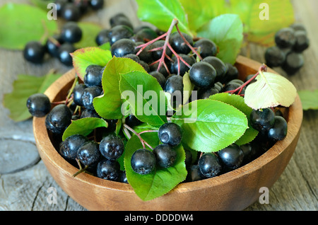 Schwarze Apfelbeere in braunen Schüssel auf Holztisch Stockfoto