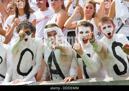 Cincinnati, Ohio, USA. 31. August 2013. Cincinnati Bearcats Fans zeigen ihren Geist während der NCAA Football Spiel zwischen der Purdue Boilermakers und die Cincinnati Bearcats Nippert Stadium. Bildnachweis: Csm/Alamy Live-Nachrichten Stockfoto