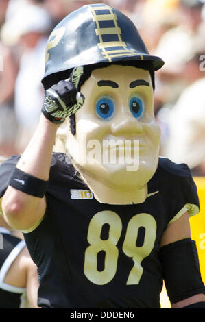 Cincinnati, Ohio, USA. 31. August 2013. Purdue Pete feiert einen Touchdown spät im zweiten Quartal während der NCAA Football-Spiel zwischen der Purdue Boilermakers und die Cincinnati Bearcats Nippert Stadium. Bildnachweis: Csm/Alamy Live-Nachrichten Stockfoto