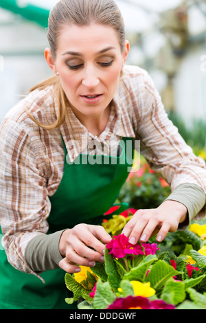 Weibliche Floristen oder Gärtner im Blumenladen, Gewächshaus oder Kinderzimmer Stockfoto