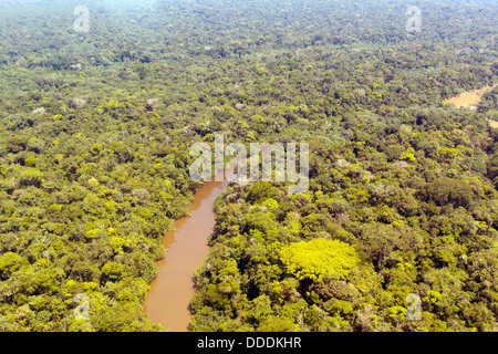 Luftaufnahme des Rio Cononaco im ecuadorianischen Amazonasgebiet mit einem riesigen emergent Ceibo Baum im Vordergrund Stockfoto