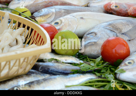 Fisch und Meeresfrüchte Auswahl in den Fischmarkt, Essaouira Marokko Afrika Stockfoto