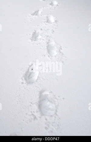 Tiefe Spuren in frischen weißen Schnee. Stockfoto