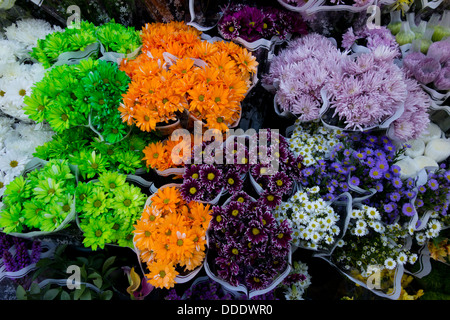 gemischter Blumenstrauß Stockfoto