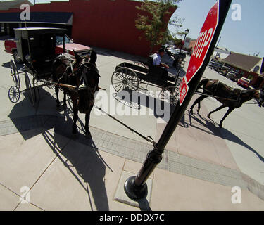 14. März 2012 - zusammen, IOWA, USA - A Pferd und Amish Wagen sind links gebunden an ein Stop-Schild zusammen, Iowa. Es gibt 5 wichtigsten Grade des Konservatismus in zusammen. In der Reihenfolge der konservativsten sind die Divisionen lokal als Old Order Amish, New Order Amish Beachy Amische, konservativen Mennonite und Mennoniten bekannt. Amischen Leute beziehen sich auf die nicht-amischen als Englisch. (Kredit-Bild: © Kevin E. Schmidt/ZUMAPRESS.com) Stockfoto