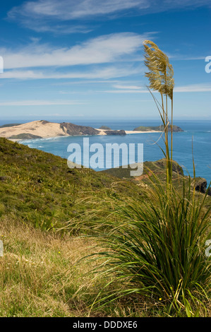 Der Blick vom Cape Reinga, Neuseeland nördlichsten Punkt, Blick in Richtung der Ninety Mile Beach Stockfoto