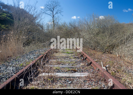 Überwuchert stillgelegten Bahnhof in der Nähe von Llangefni Anglesey North Wales UK Stockfoto