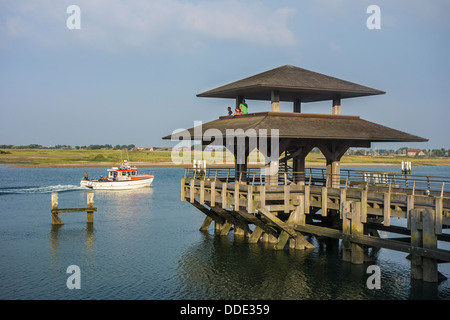 Observation Tower mit Blick über die Natur reserve De IJzermonding an der Mündung der Yser in Nieuport / Nieuwpoort, Belgien Stockfoto