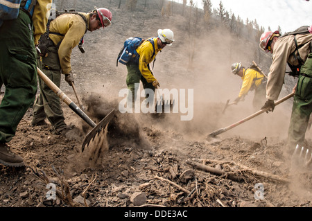 Südlichen Plains und Comanche Wildfire ersten Angriff Crews arbeiten um unterirdische schwelendes Feuer in Wurzeln löschen oder begraben Äste mit Handwerkzeugen in Beaver Creek Feuer 21. August 2013 westlich von Hailey, ID. Stockfoto