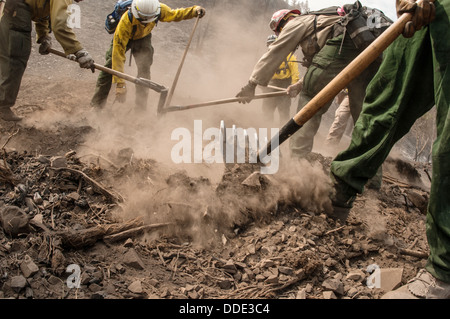 Südlichen Plains und Comanche Wildfire ersten Angriff Crews arbeiten um unterirdische schwelendes Feuer in Wurzeln löschen oder begraben Äste mit Handwerkzeugen in Beaver Creek Feuer 21. August 2013 westlich von Hailey, ID. Stockfoto