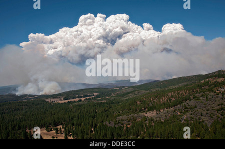 Flammen und Rauch aus dem Rim-Feuer brennt weiter 20. August 2013 in der Nähe von Yosemite, CA. Das Feuer weiter brennen alten Waldbestands und Yosemite National Park zu bedrohen. Stockfoto