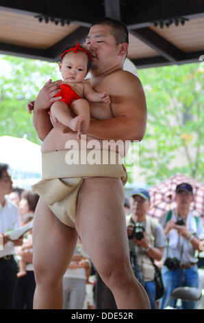 Ringer und Babys nehmen Teil in einem Sumo-Event am Matsuo Taisha Schrein in Kyoto, Japan. Stockfoto