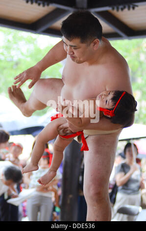 Ringer und Babys nehmen Teil in einem Sumo-Event am Matsuo Taisha Schrein in Kyoto, Japan. Stockfoto