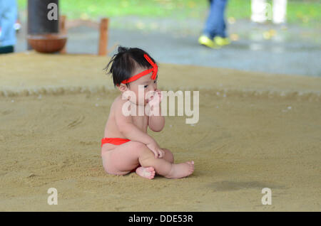 Ringer und Babys nehmen Teil in einem Sumo-Event am Matsuo Taisha Schrein in Kyoto, Japan. Stockfoto