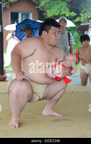 Ringer und Babys nehmen Teil in einem Sumo-Event am Matsuo Taisha Schrein in Kyoto, Japan. Stockfoto