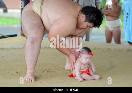 Ringer und Babys nehmen Teil in einem Sumo-Event am Matsuo Taisha Schrein in Kyoto, Japan. Stockfoto