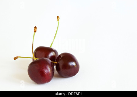 Drei Kirschen mit Stielen vor einem weißen Hintergrund Stockfoto