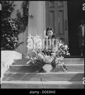 Oakland, Kalifornien. Anordnen von Blumen für ändern am letzten Tag des Services bei japanischen Independent Co... 536432 Stockfoto