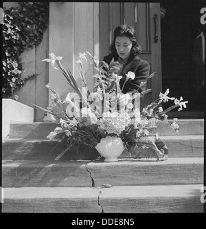 Oakland, Kalifornien. Anordnen von Blumen für ändern am letzten Tag des Dienstes auf der japanischen Independent Con... 536433 Stockfoto